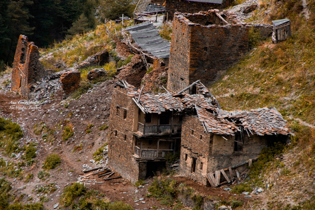 თუშეთიდან